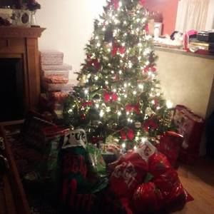 Meet your Posher, Tracey